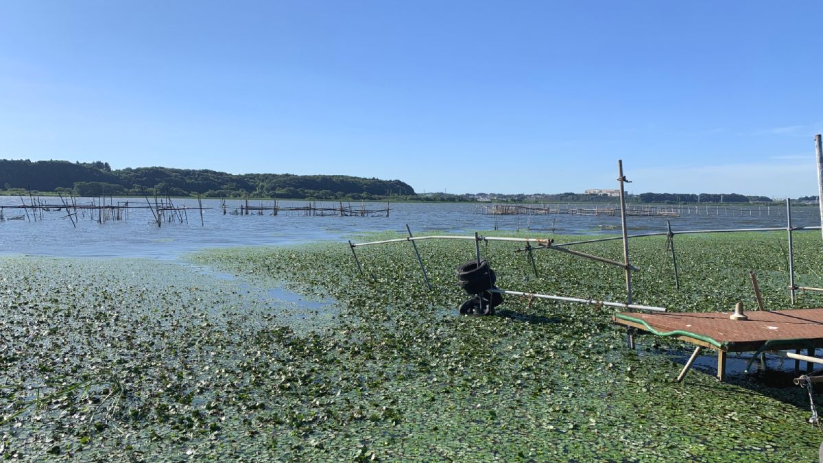 印西市　双子公園のナウマンゾウ